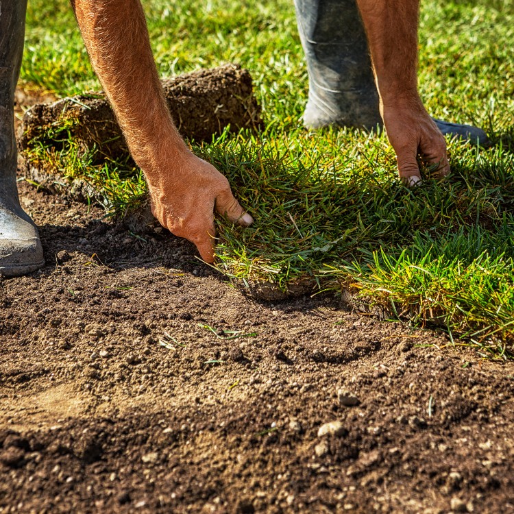 Landscaping in Macomb, MI Landscaping in Macomb, MI