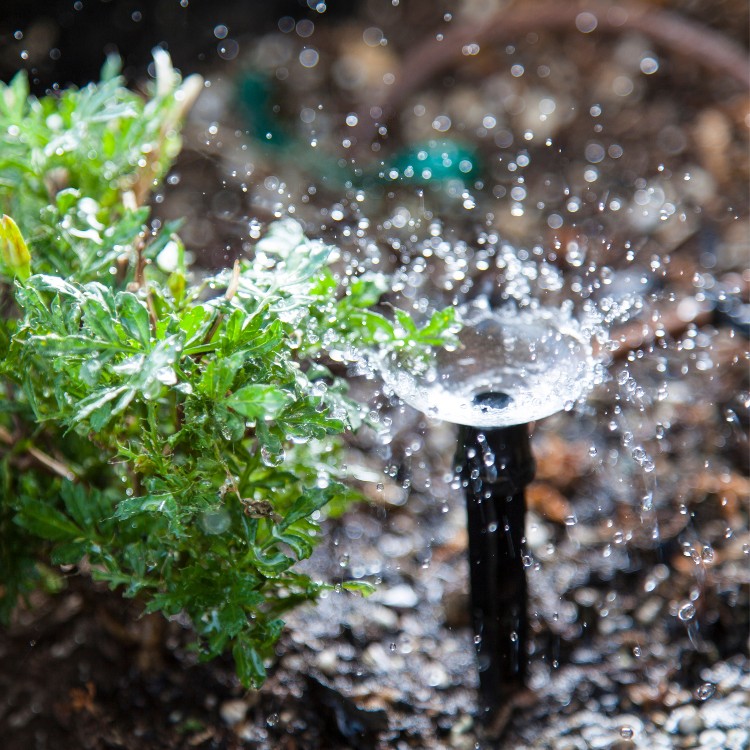 Landscaping in Macomb, MI Landscaping in Macomb, MI