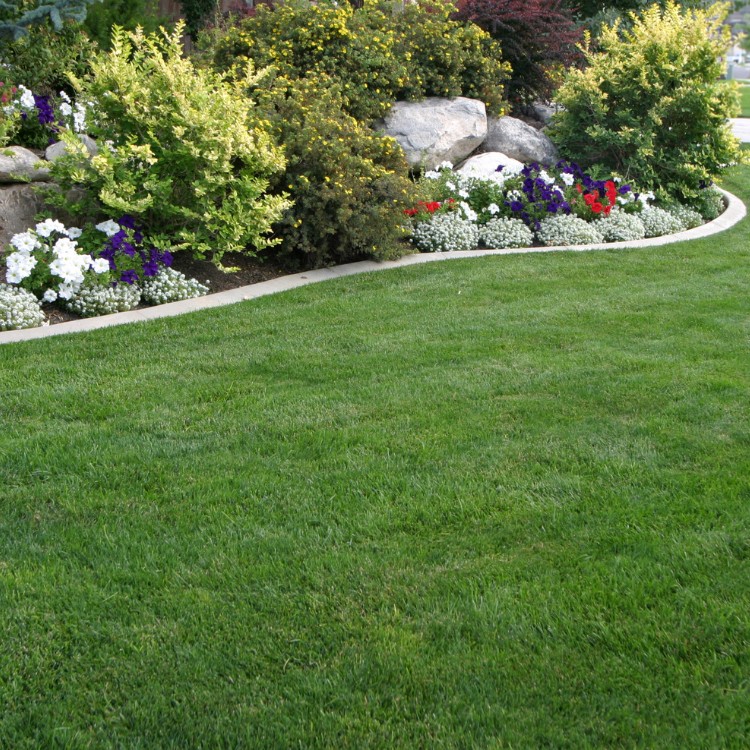 Landscaping in Macomb, MI Landscaping in Macomb, MI